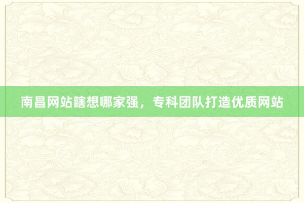 南昌网站瞎想哪家强，专科团队打造优质网站